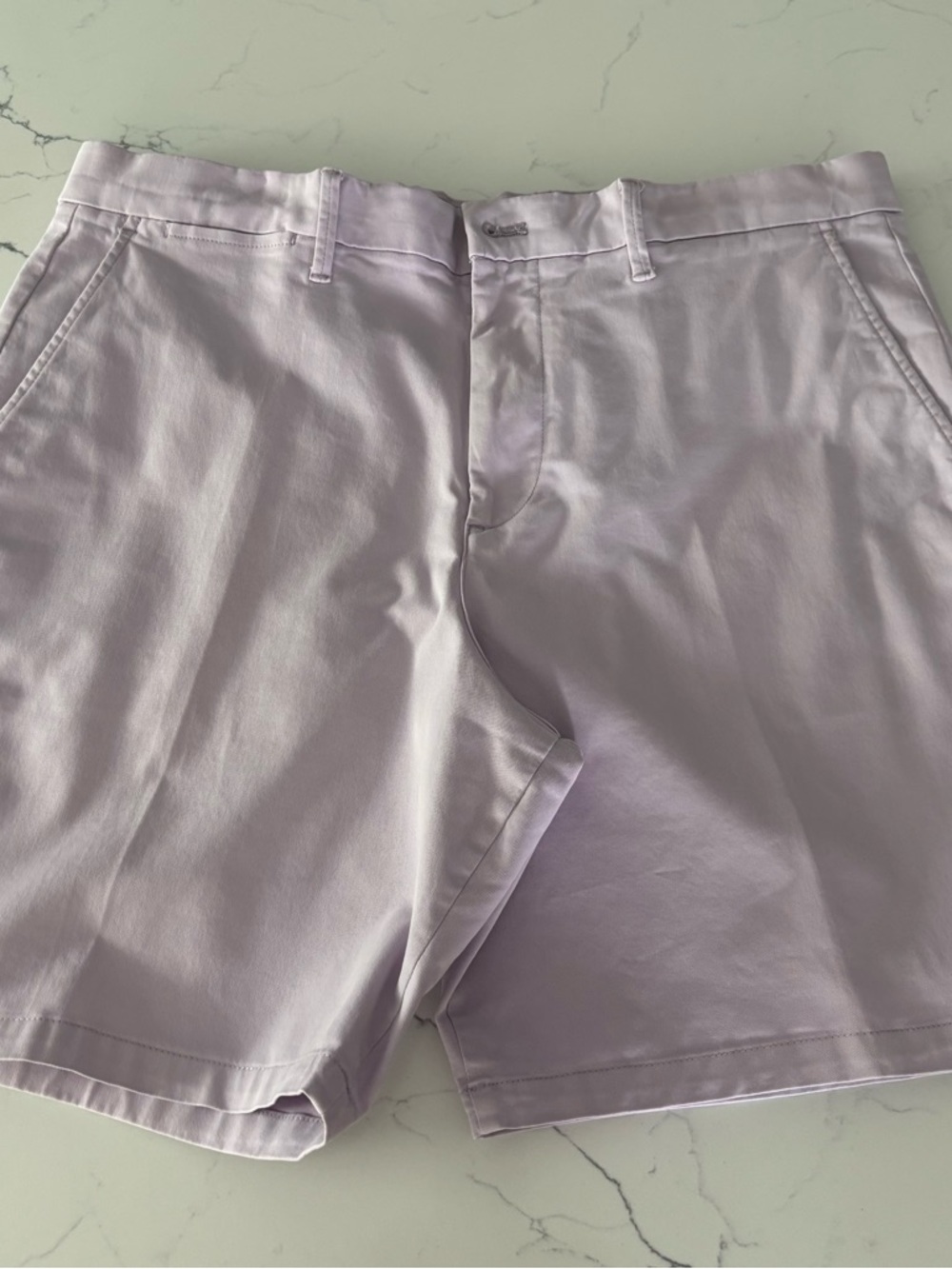 GAP Men’s Pastel Lavender Flat Front Shorts